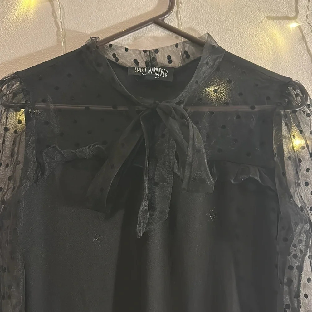 Tie Neck Mesh Sleeve Polka Dot Long Sleeve Top - Picture 3 of 4